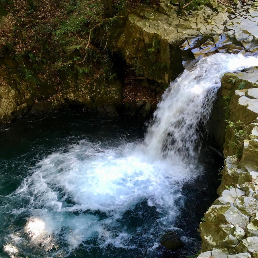 Ogawa Ryokan 시모다 외부 사진